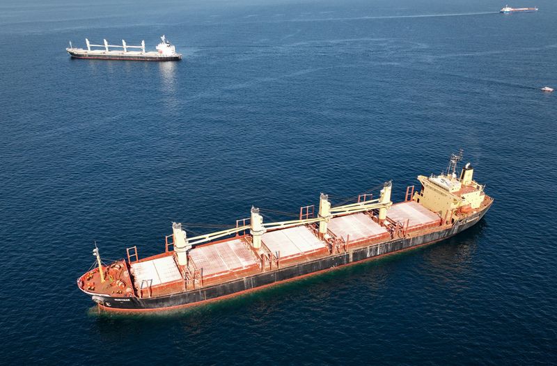 Rubymar cargo ship attacked by Houthis has sunk, Yemeni government says ...