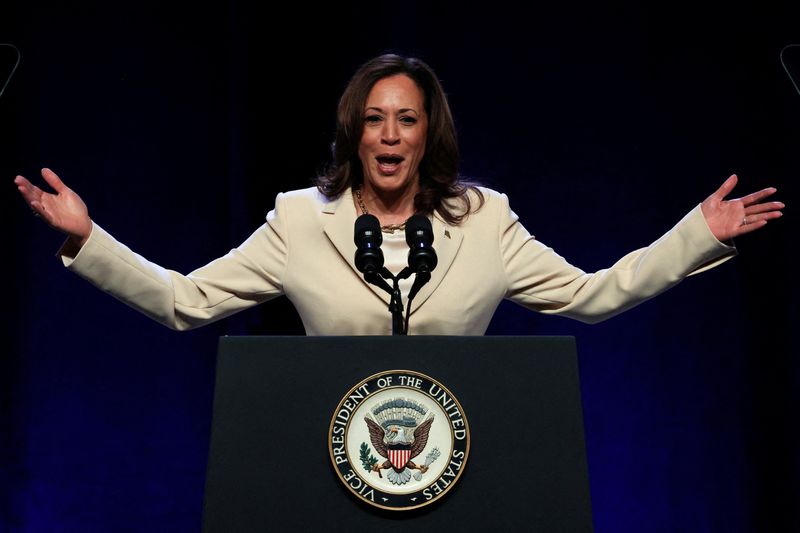 VP Harris top choice to replace Biden in election race if he steps