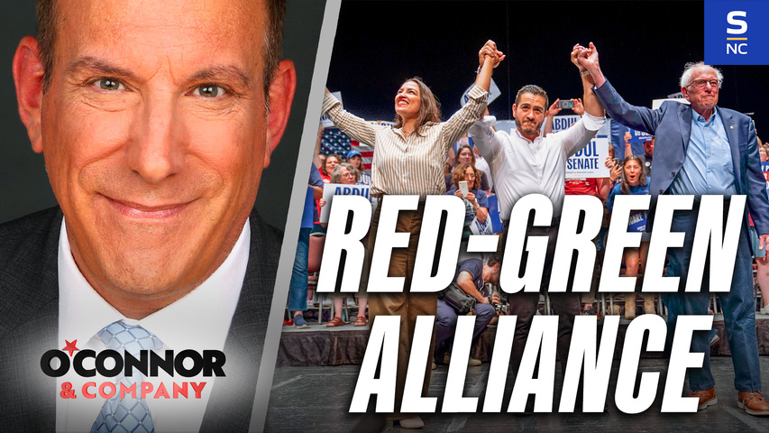 The DSA and The Red-Green Alliance